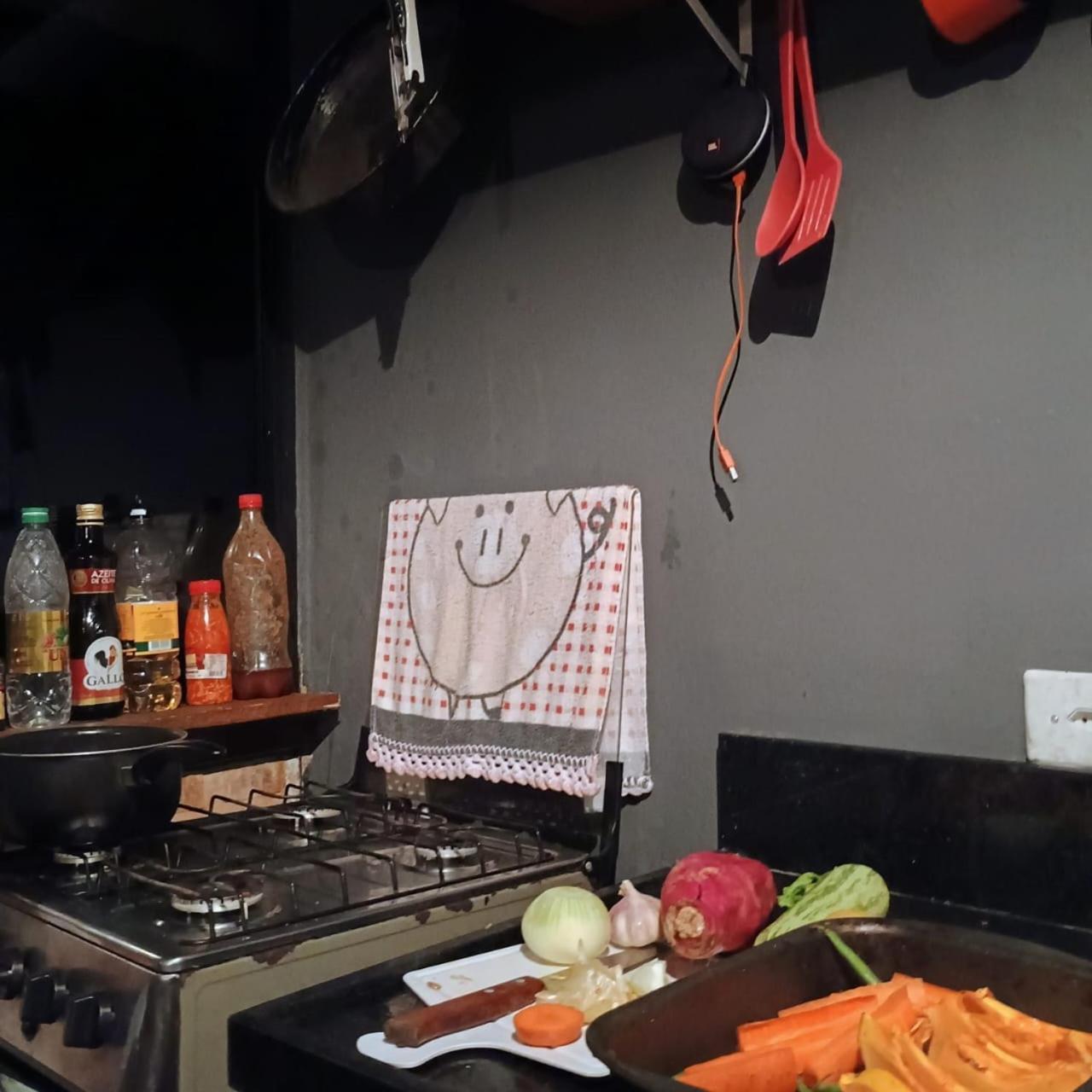 Chale Da Montanha Petropolisヴィラ エクステリア 写真